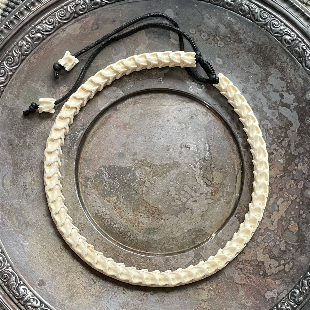 Snake Vertebrae Goth Necklace